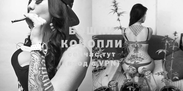 тгк Белокуриха