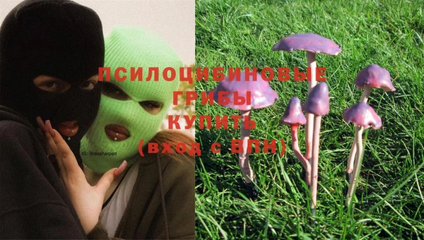 прущая мука Бородино