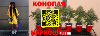 каннабис Пыть-Ях