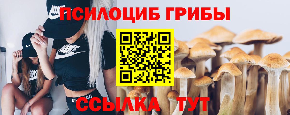 Псилоцибиновые грибы MAGIC MUSHROOMS Сердобск